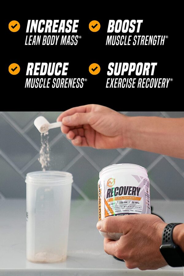 Outwork Nutrition Recovery Supplement - Post Workout Recovery Drink & Muscle Builder - Backed by Science (240 Grams) (Orange Sherbet, 8.46)