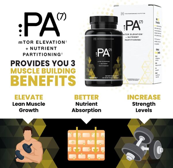 PA(7) Phosphatidic Acid Muscle Builder by HPN | Top Natural Muscle Builder - Boost mTOR | Build Mass and Strength from Your Workout | 30 Day Supply