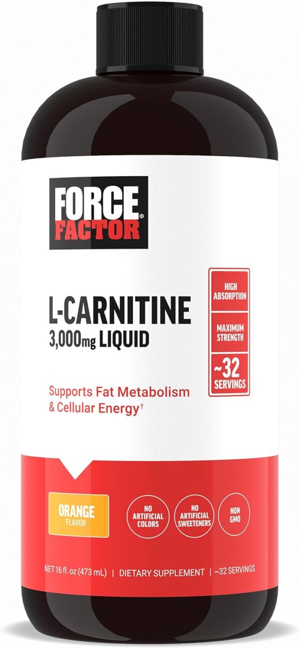 Force Factor L Carnitine Supplement, Liquid L-Carnitine 3000 mg to Help Turn Fat Into Energy, Support Muscle Recovery, and Boost Cellular Energy, Maximum Strength, Non-GMO, Orange Flavor, 16 Oz.