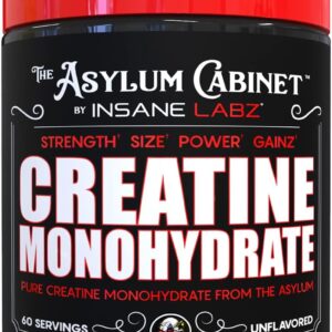 Insane Labz Insane Creatine Monohydrate Powder - Unflavored, Pre Workout, Post Workout, Strength Size Power - 60 Srvgs