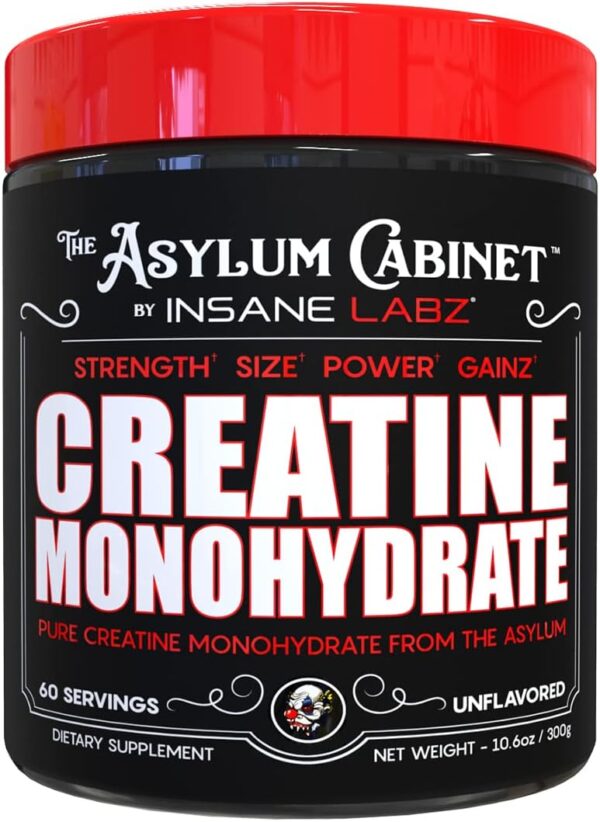 Insane Labz Insane Creatine Monohydrate Powder - Unflavored, Pre Workout, Post Workout, Strength Size Power - 60 Srvgs
