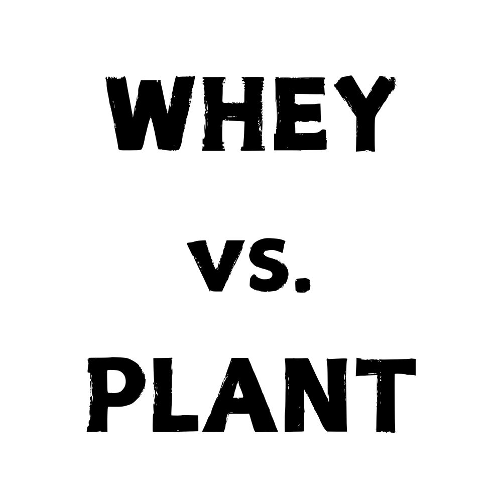 Whey vs. Plant Protein: Which Is Better for You?