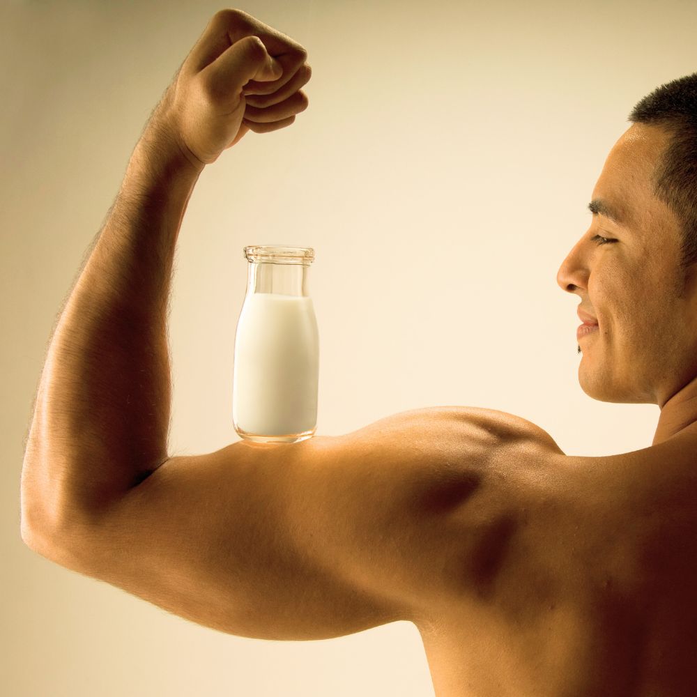 Whole Milk for Muscle Growth: Benefits & Shake Recipes