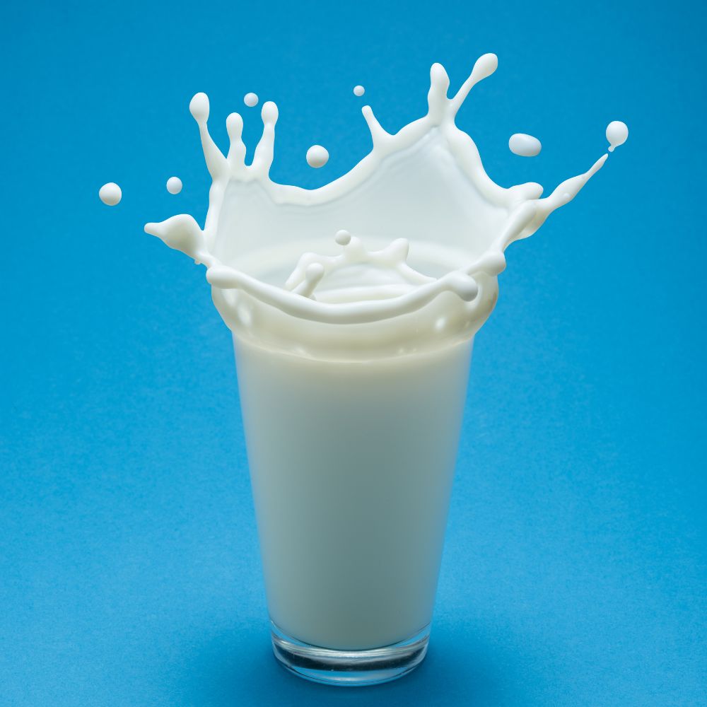 Is Drinking Milk Good for Bodybuilding?