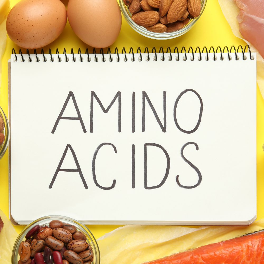 How to Obtain Essential Amino Acids When Your Body Can’t Produce Them