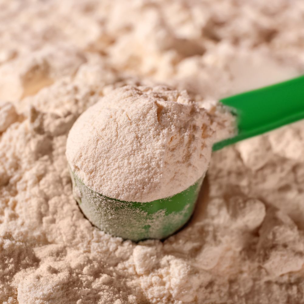 The Best Protein Powders for Weight Gain: A Comprehensive Guide