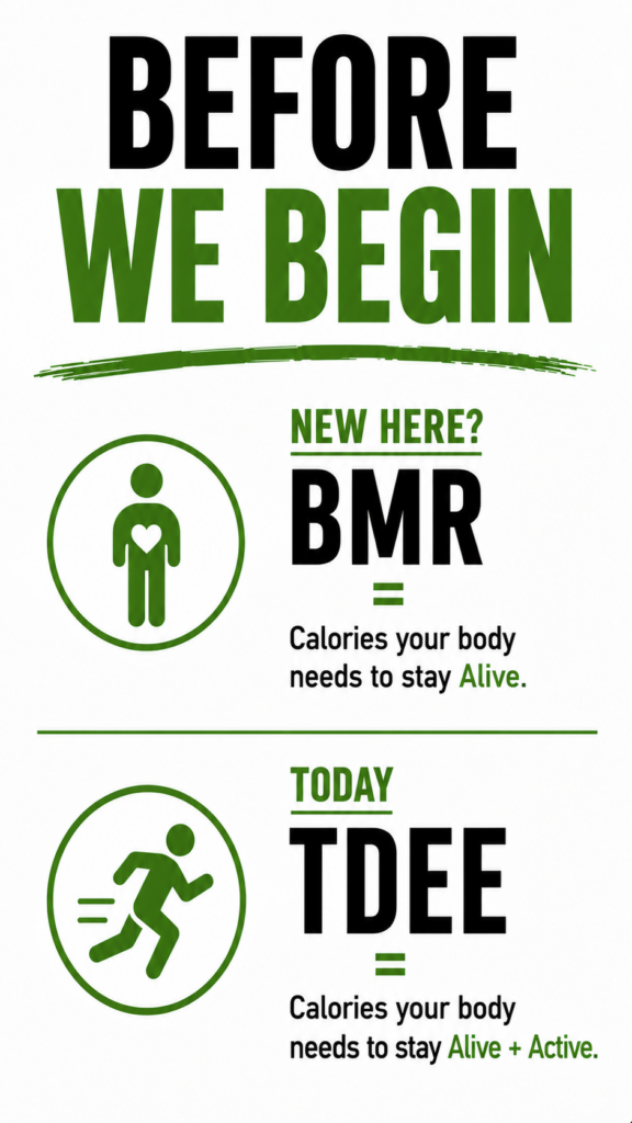 BMR represents resting calorie needs, while TDEE includes normal daily activity.