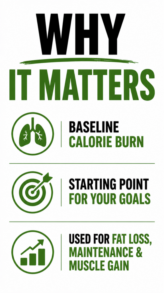 Why Basal Metabolic Rate matters.