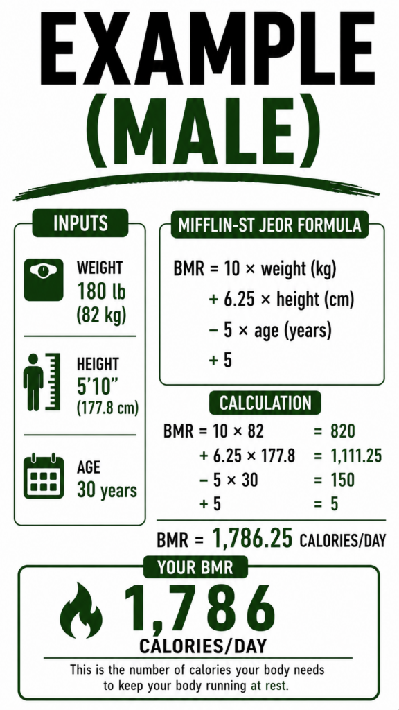 Male BMR calculation example.